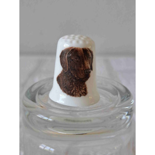 Porseleinen vingerhoedje met Chesapeake Bay Retriever hond  - Verzamelobject