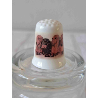 Teckels honden op een porselein vingerhoedje