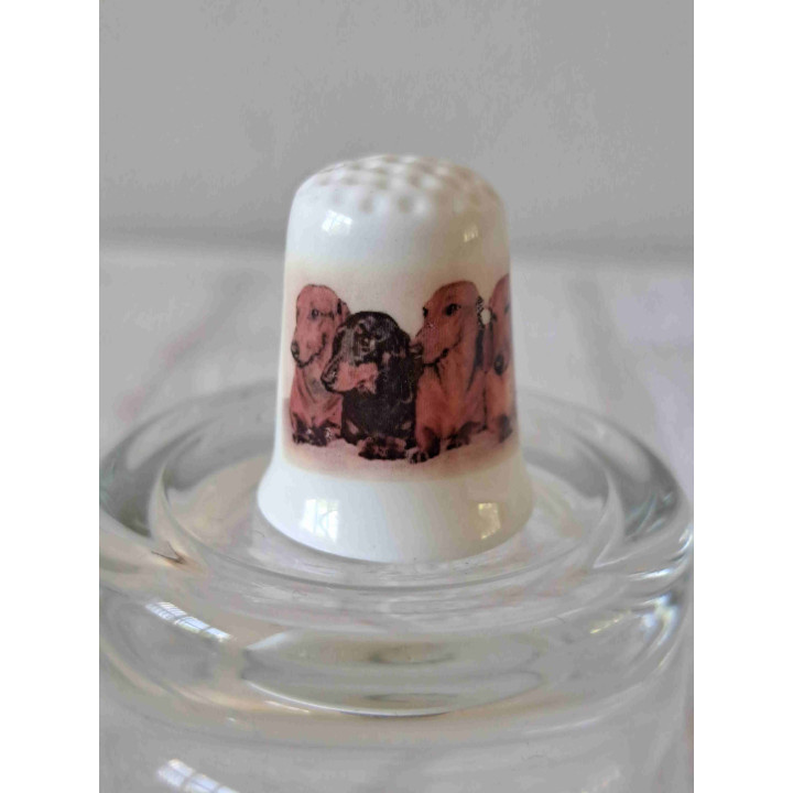 Teckels honden op een porselein vingerhoedje