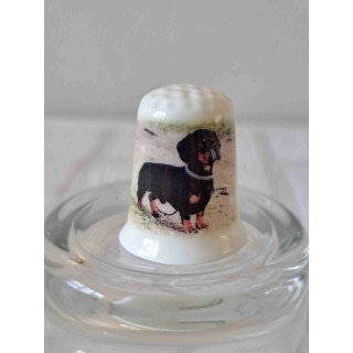 Teckel hond op het gras op een porselein vingerhoedje