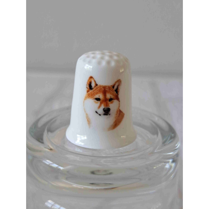 Shiba Inu hond op een porselein vingerhoedje