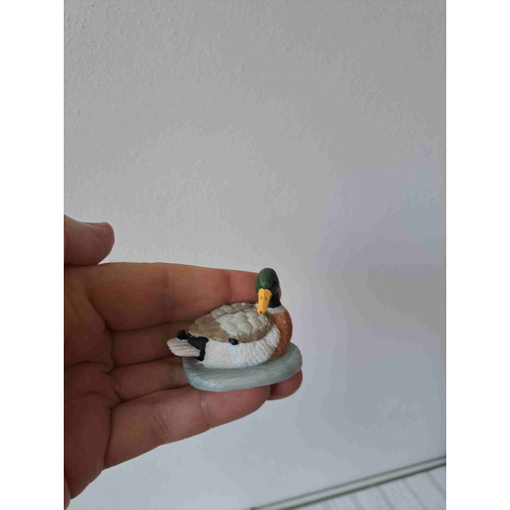 Eend van kunsthars in het water van Elgate B5xH4cm