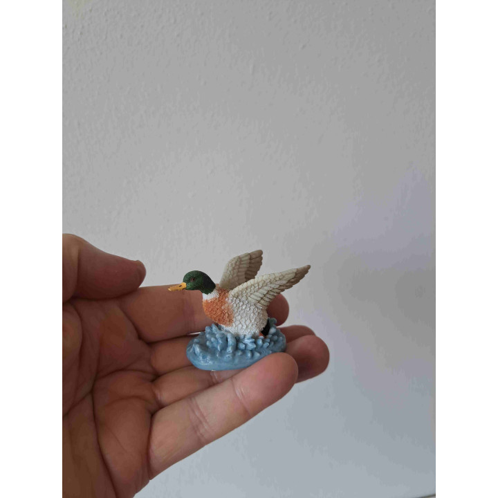 Eend van kunsthars met vleugels wijd van Elgate B6xH4cm