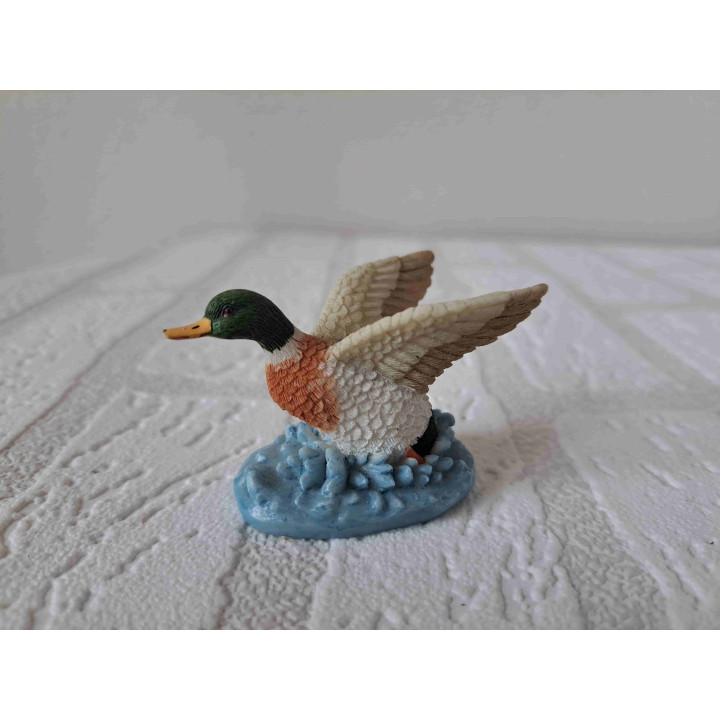 Eend met vleugels wijd van Elgate