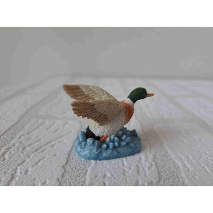 Eend met vleugels wijd van Elgate