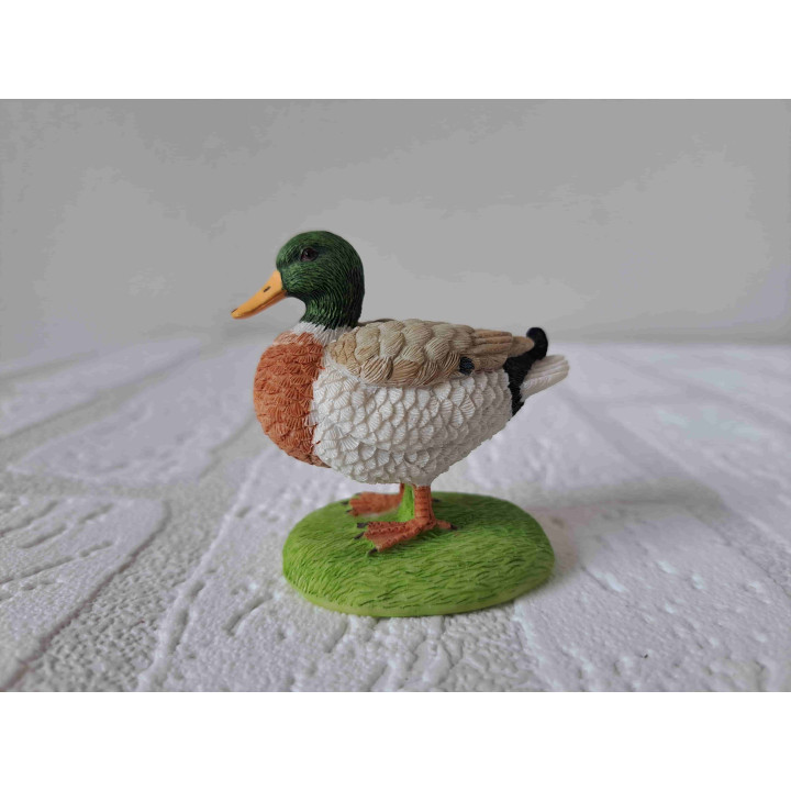 Eend staand op gras van Elgate