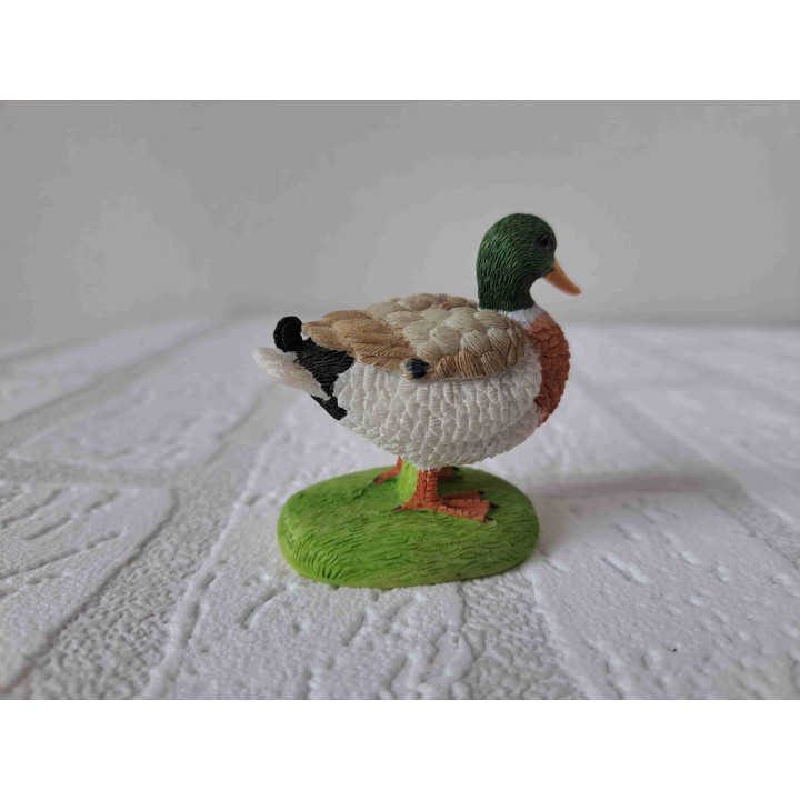 Eend staand op gras van Elgate