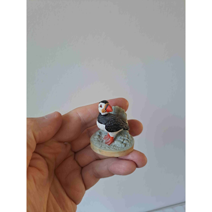 Papegaaienduiker vogel van Tetley 1997