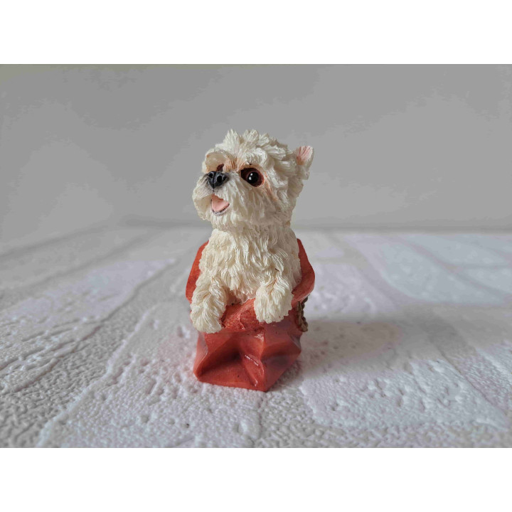 West highland terrier hond in een kadotas