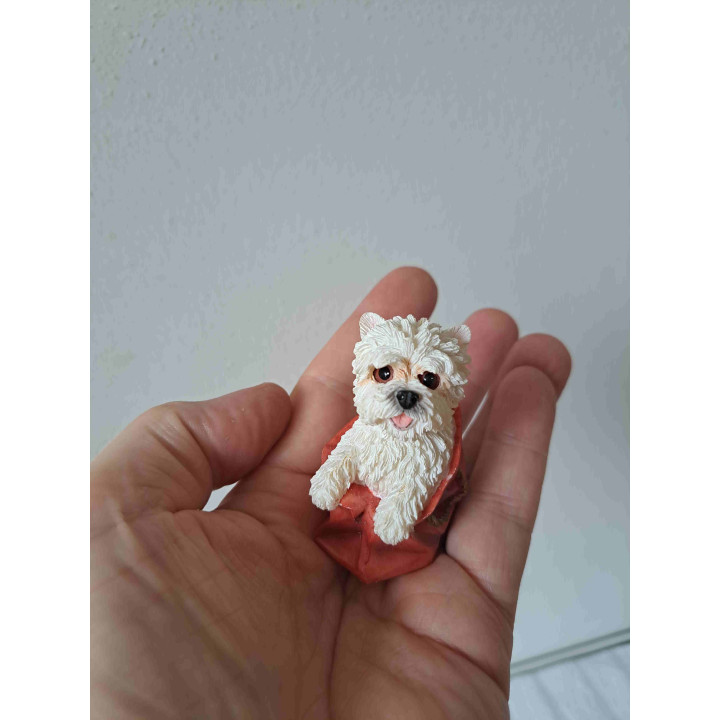West highland terrier hond in een draagtas