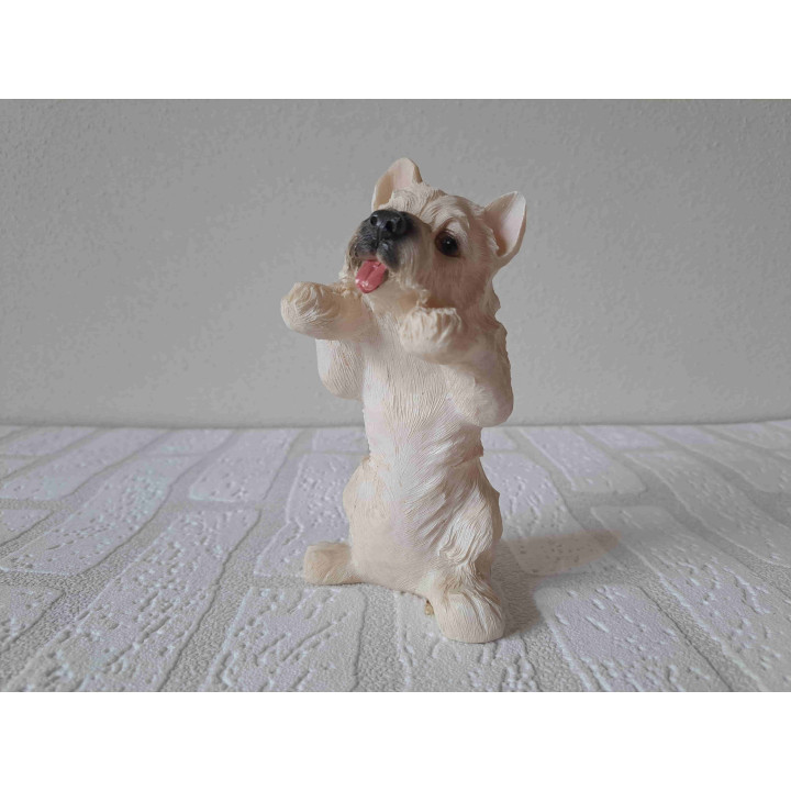 West highland terrier hond staand met poten omhoog