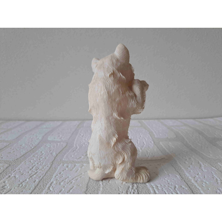 West highland terrier hond staand met poten omhoog