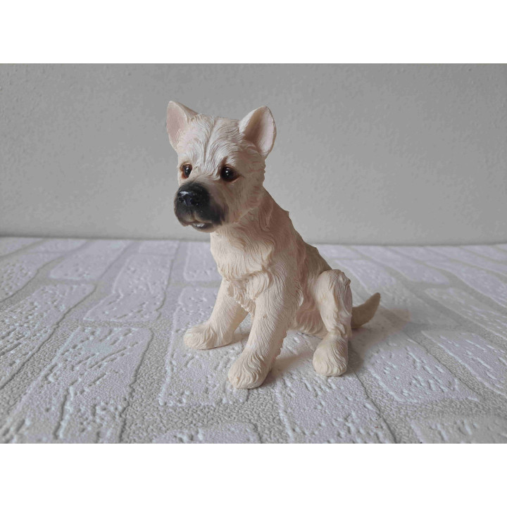 West highland terrier hond rechtop zittend