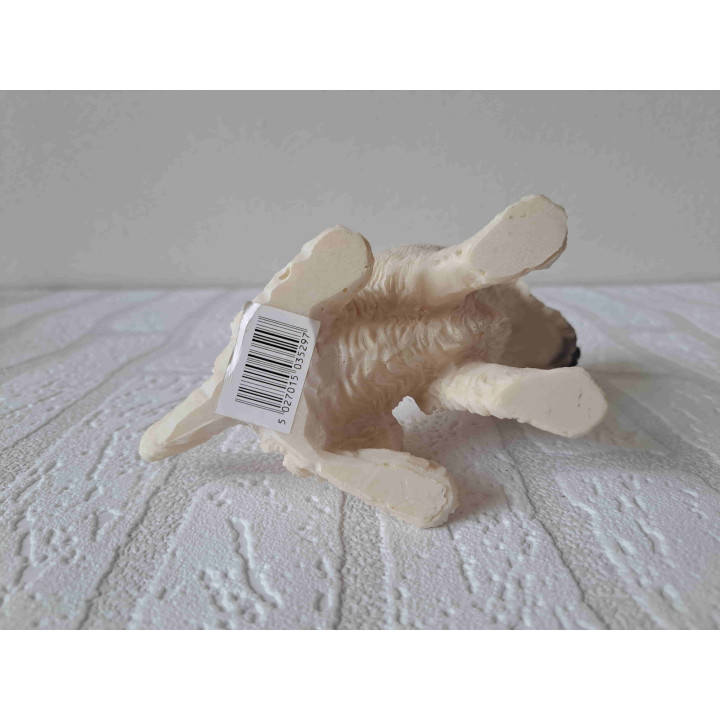 West highland terrier hond rechtop zittend