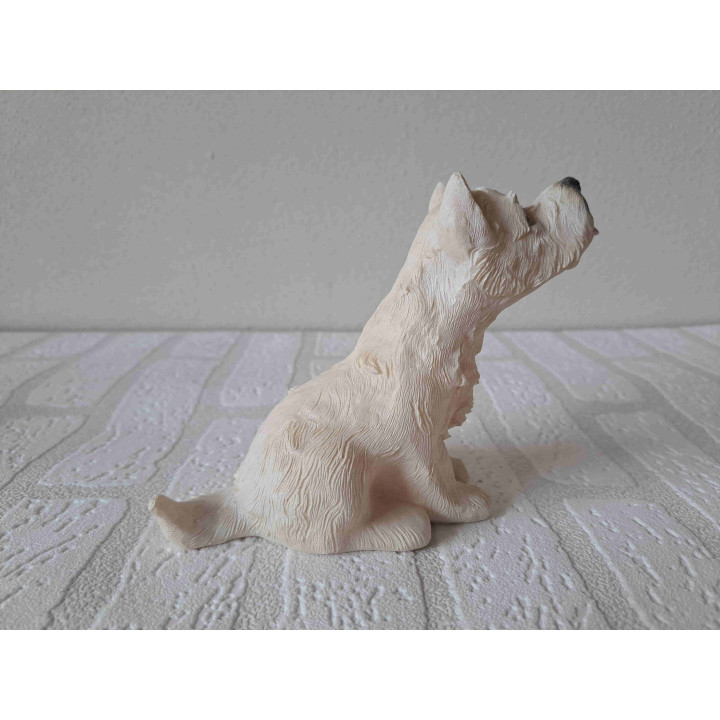 West highland terrier hond rechtop zittend en kijkend omhoog