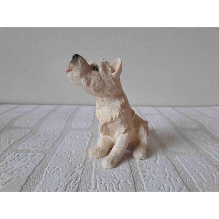 West highland terrier hond rechtop zittend en kijkend omhoog
