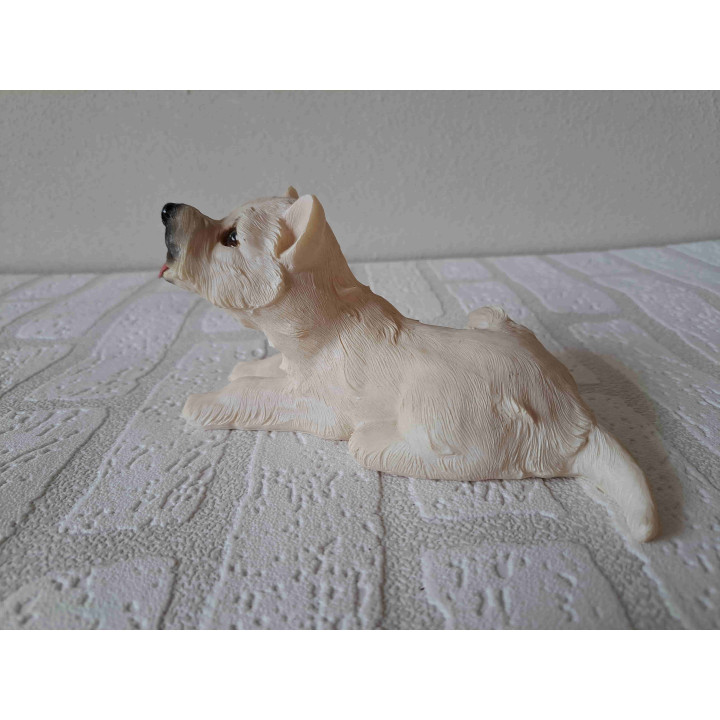 West highland terrier hond liggend hoofd omhoog