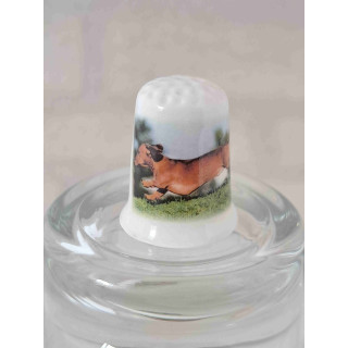 Rennende teckel hond op een foto op een porselein vingerhoedje