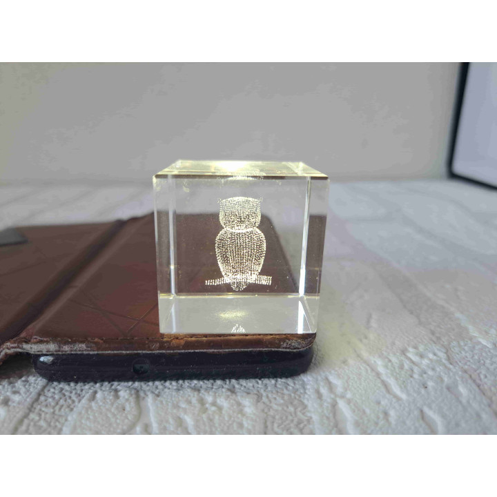 Uil in een kristal glas kubus