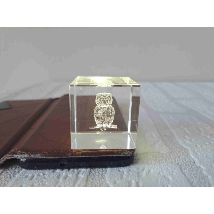Uil in een kristal glas kubus