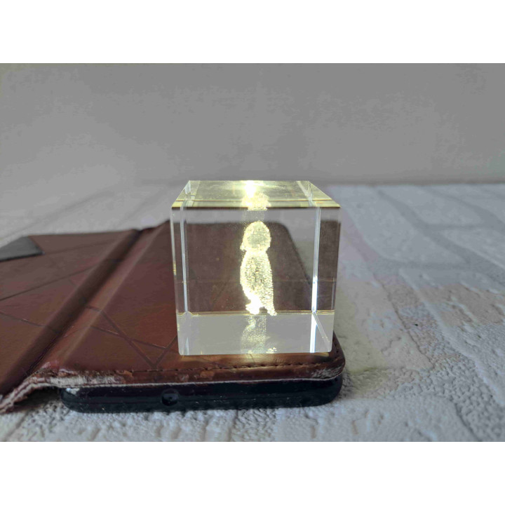 Uil in een kristal glas kubus