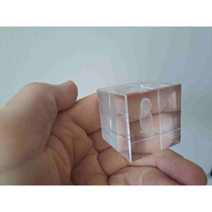 Uil in een kristal glas kubus 5x5x5cm