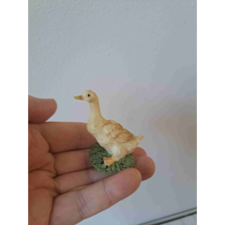 Gans lopend over het gras