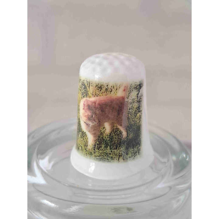 Poes op het gras op een porselein vingerhoedje