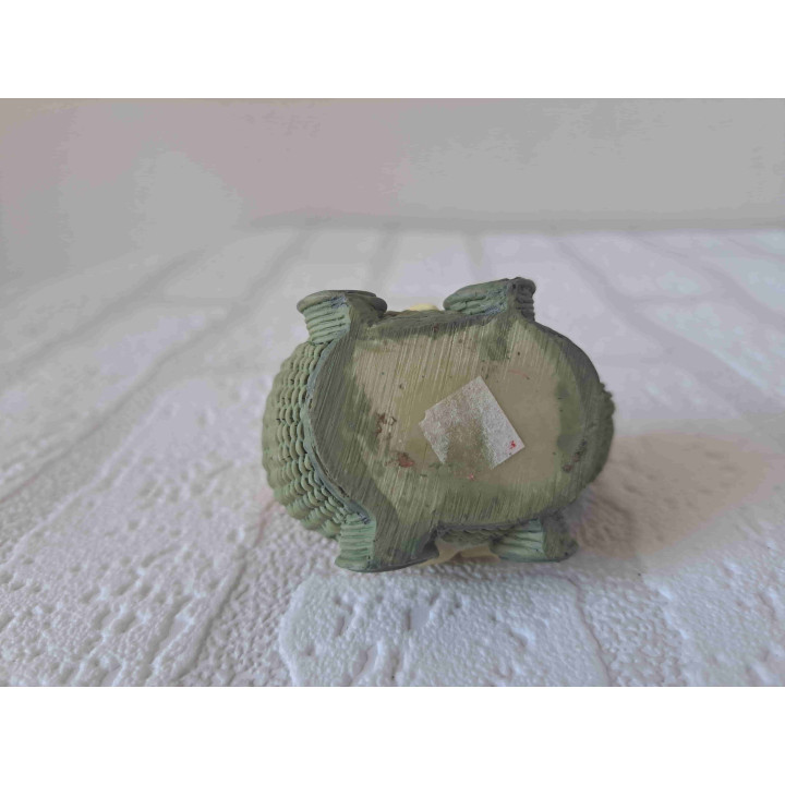 Baby in een schildpad kinderwagen