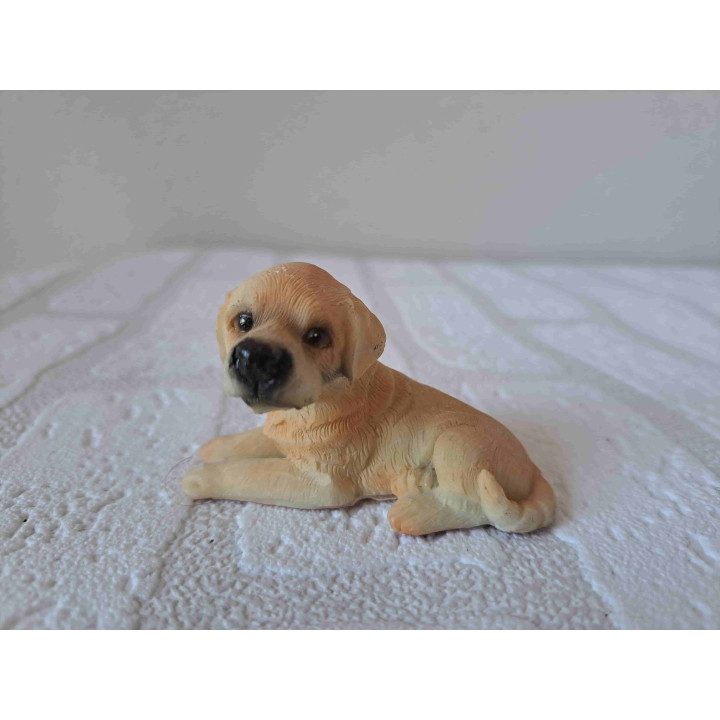 Labrador hond blond puppy liggend op de grond