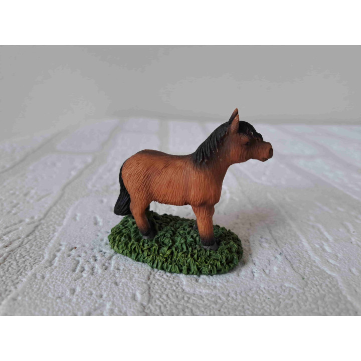 Shetland paard staand op het gras