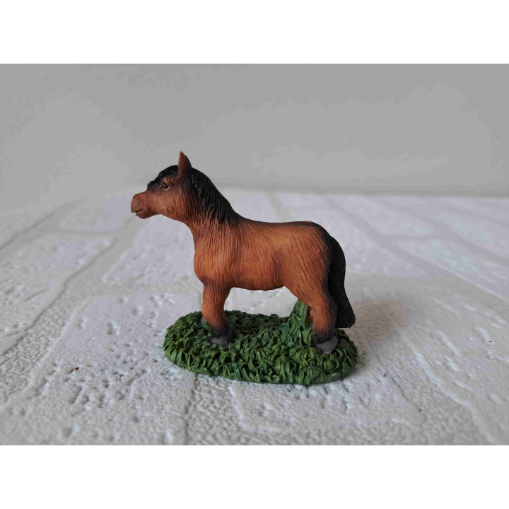 Shetland paard staand op het gras