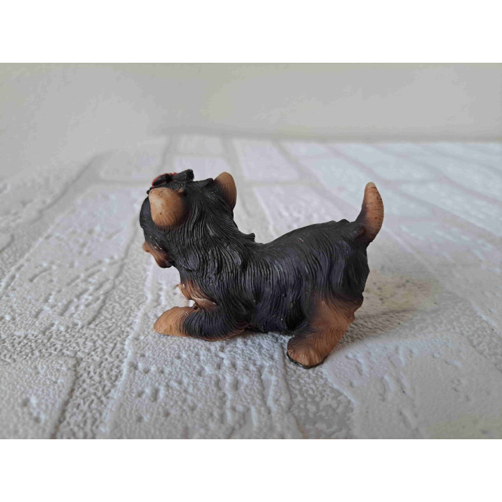 Yorkshire Terrier met een rood strikje in het haar