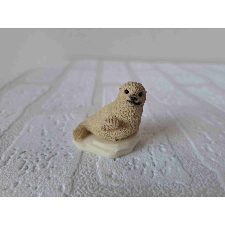 Zeehond met zijn poot omhoog zittend op een ijsschots