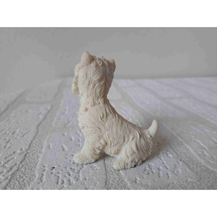 West highland terrier hond rechtop zittend