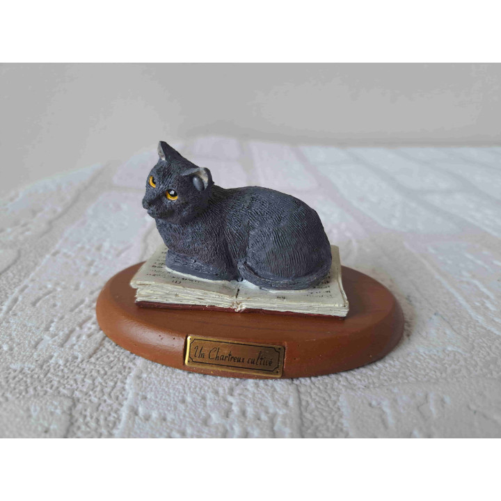 Chartreux poes op een houten plateau ligt op een boek