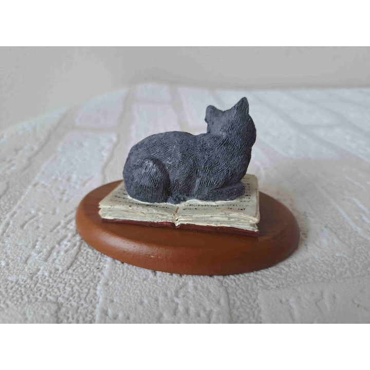 Chartreux poes op een houten plateau ligt op een boek