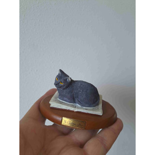Chartreux poes op een houten plateau ligt op een boek