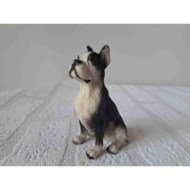 Boston terrier hond zittend op de vloer