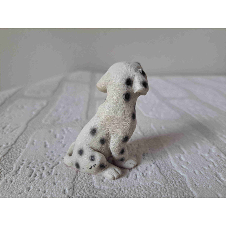 Dalmatische puppy hond rechtop zittend