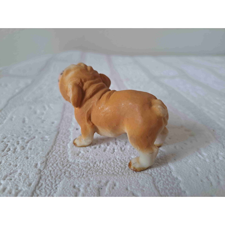 Engelse bulldog hond rechtop staand