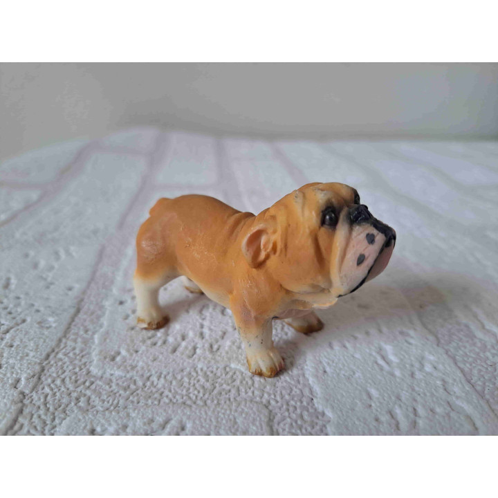 Engelse bulldog hond rechtop staand