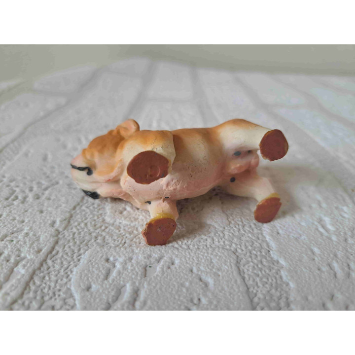 Engelse bulldog hond rechtop staand