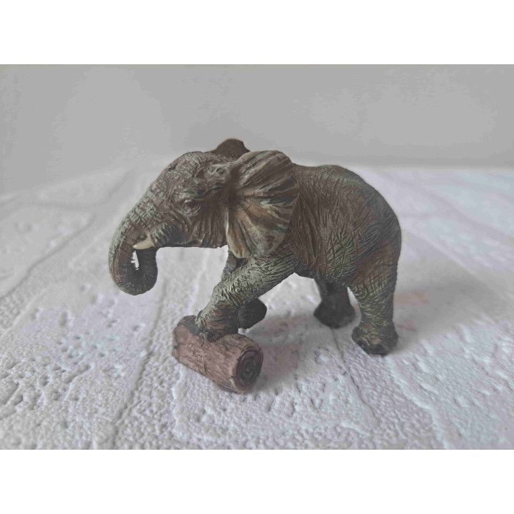 Olifant met poot op boomstronk