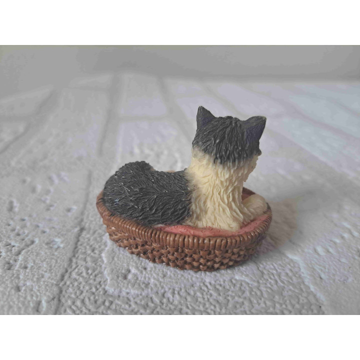 Poes ligt lekker in zijn mandje
