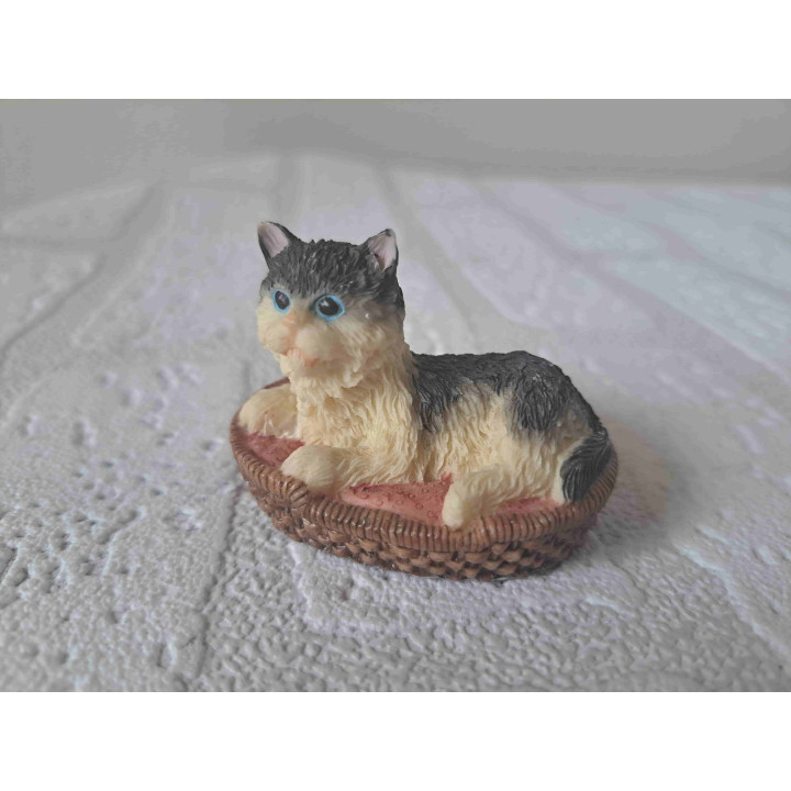 Poes ligt lekker in zijn mandje