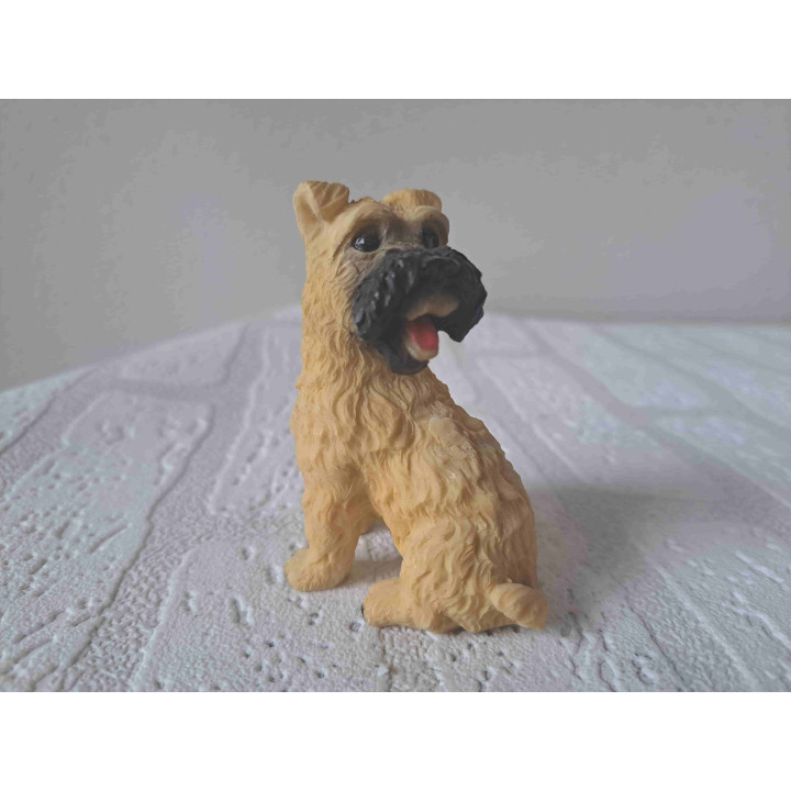 Schnauzer hond blond rechtop zittend