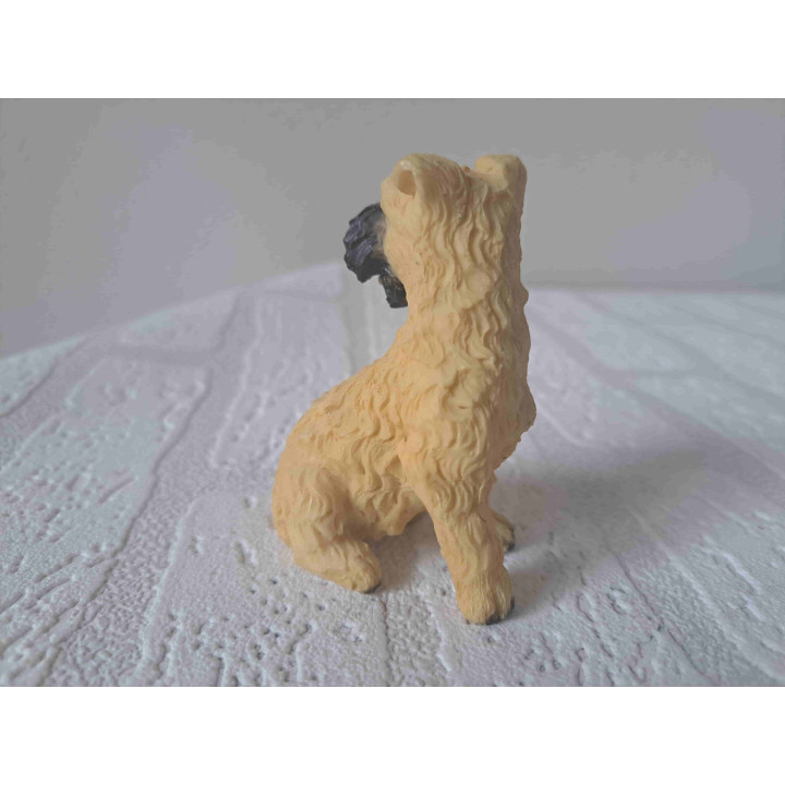 Schnauzer hond blond rechtop zittend