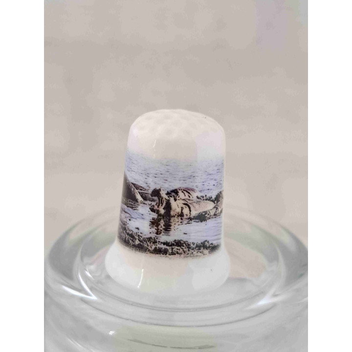 Nijlpaarden liggend in het water op een porselein vingerhoedje