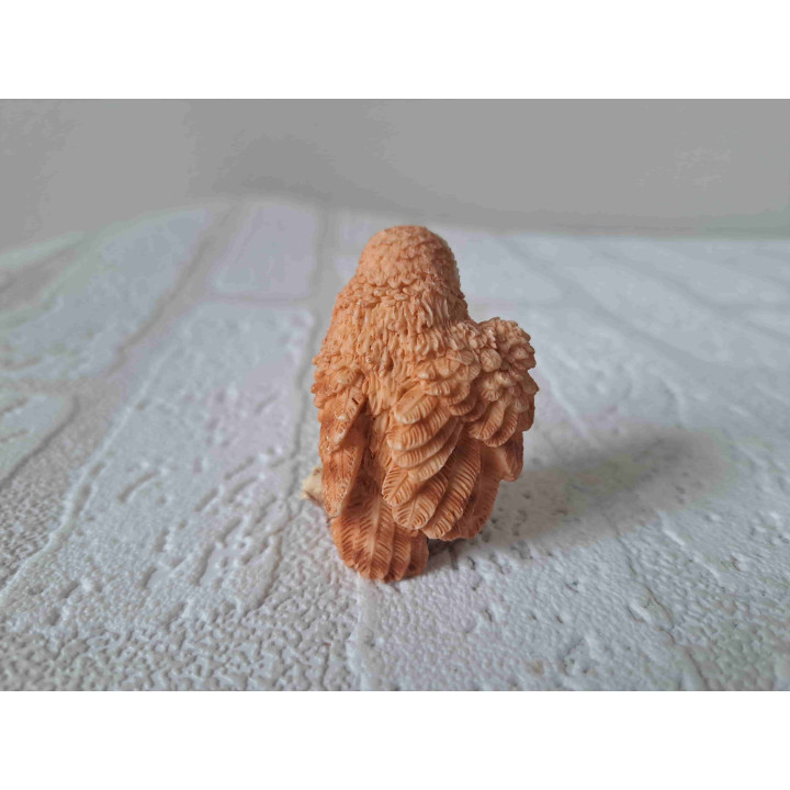 Uil met een vleugel open Uil met een vleugel open